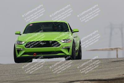 media/Nov-21-2025-Audi Club (Fri) [[8110d52e1e]]/Open Track Photos/3 Grapevine/